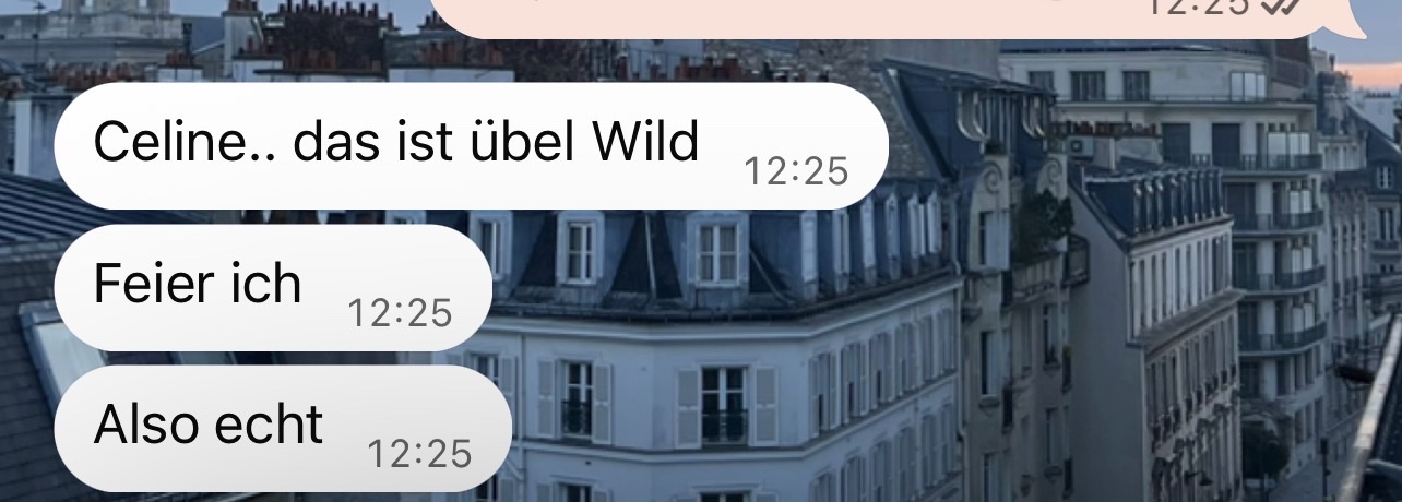 WhatsApp-Nachricht des Auftraggebers, Celine, das ist übel wild, feier ich, also echt